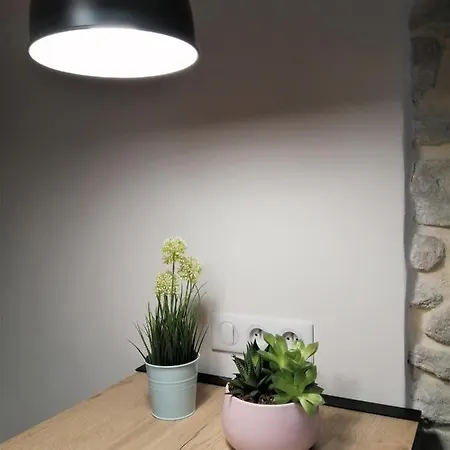 Le Petit Studio - 15 M2 - Centre Ville - Sorgue A 50 M L'Isle-sur-la-Sorgue Exterior photo