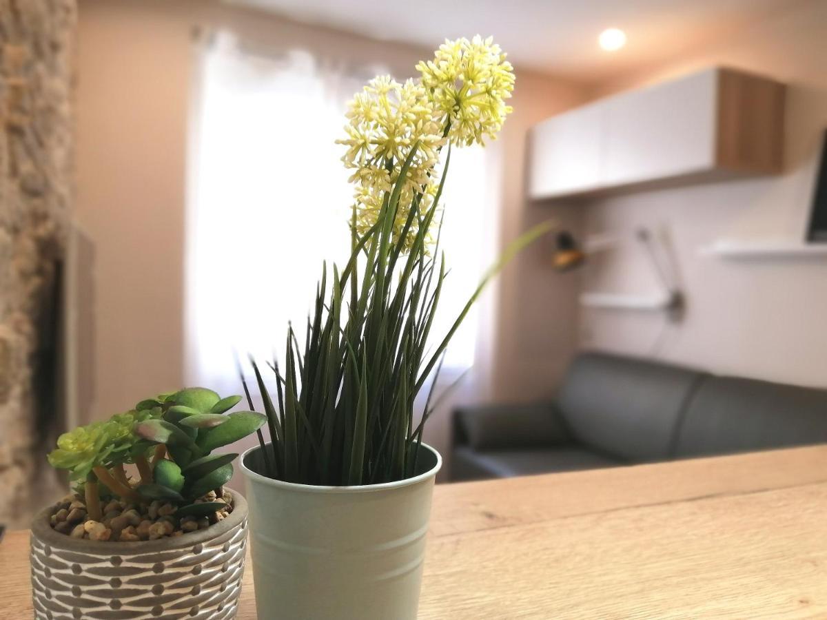 Le Petit - 15 M2 - Centre - Sorgue A 50 M Apartment *