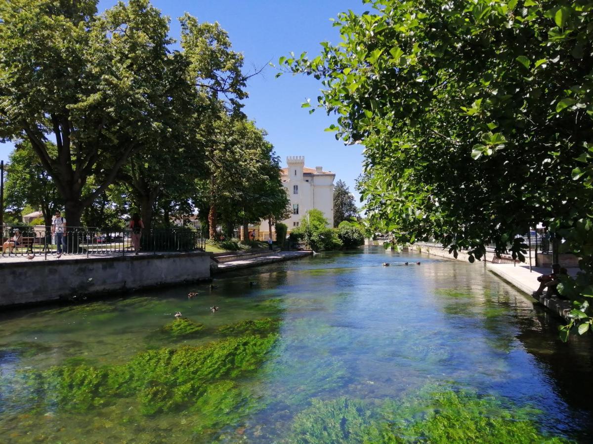 Le Petit - 15 M2 - Centre - Sorgue A 50 M Apartment *
